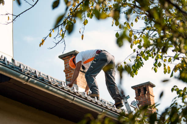 Steel Roofing in Goulding, FL